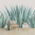 Papel De Parede Personalizado Planta Agave