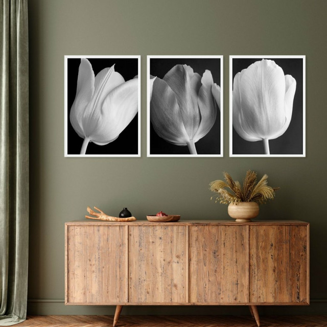 Kit Quadro Decorativo Tulipa