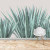 Papel De Parede Personalizado Planta Agave