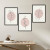 Kit Quadro Decorativo Boho Rose