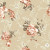 Papel de Parede Floral Envelhecido, fundo Bege