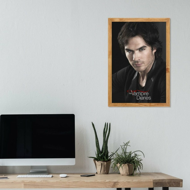 Placa Decorativa The Vampire Diaries Damon