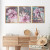 Kit Quadro Decorativo Floral Hortência