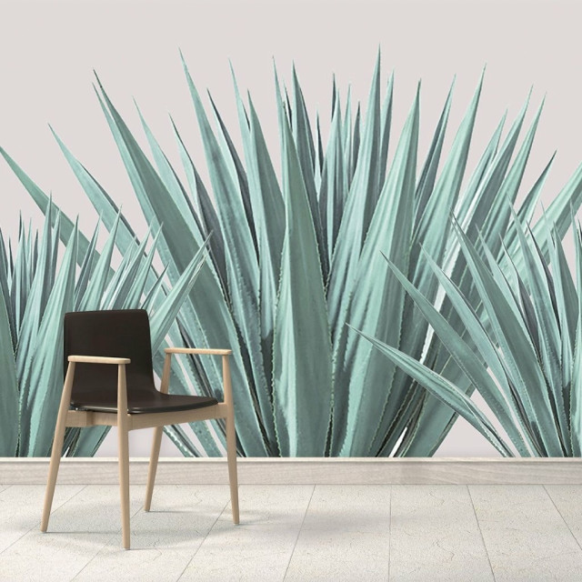 Papel De Parede Personalizado Planta Agave