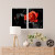 Kit Quadro Decorativo Red Rose