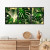 Kit Quadro Decorativo Costela de Adão Tropical