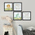 Kit De Placas Decorativas Safari Dino Baby