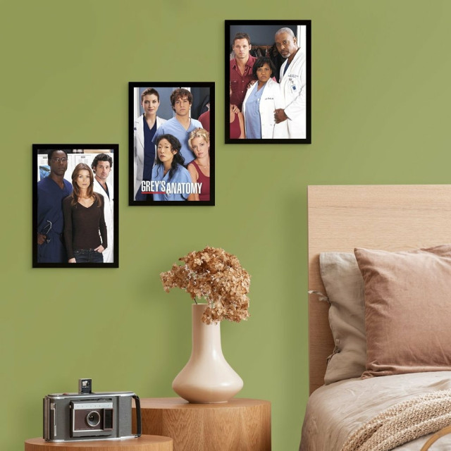 Kit de Placas Decorativas Série Greys Anatomy